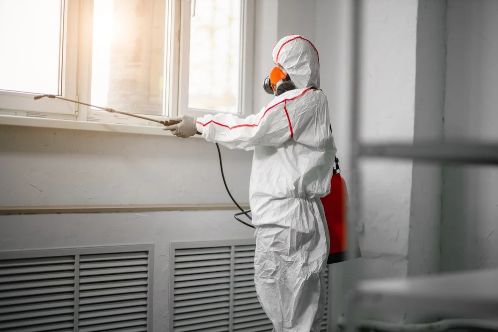 Professional mold remediation services in Rural Hall, NC